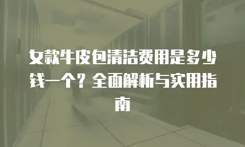 女款牛皮包清洁费用是多少钱一个？全面解析与实用指南