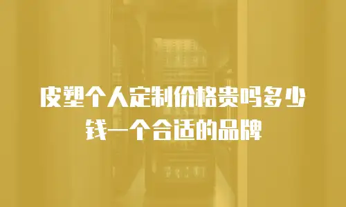 皮塑个人定制价格贵吗多少钱一个合适的品牌