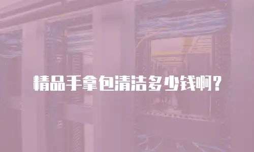 精品手拿包清洁多少钱啊？