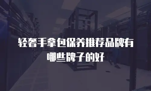 轻奢手拿包保养推荐品牌有哪些牌子的好