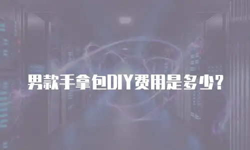 男款手拿包DIY费用是多少？