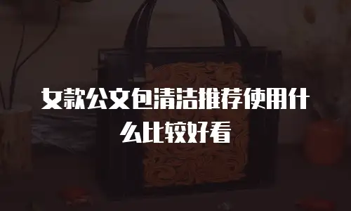 女款公文包清洁推荐使用什么比较好看