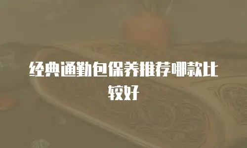 经典通勤包保养推荐哪款比较好