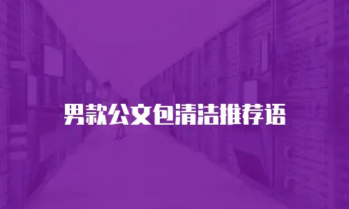 男款公文包清洁推荐语
