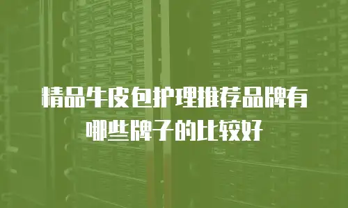 精品牛皮包护理推荐品牌有哪些牌子的比较好