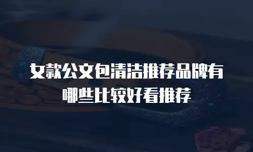 女款公文包清洁推荐品牌有哪些比较好看推荐