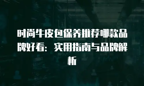 时尚牛皮包保养推荐哪款品牌好看：实用指南与品牌解析