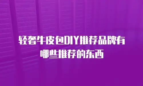 轻奢牛皮包DIY推荐品牌有哪些推荐的东西
