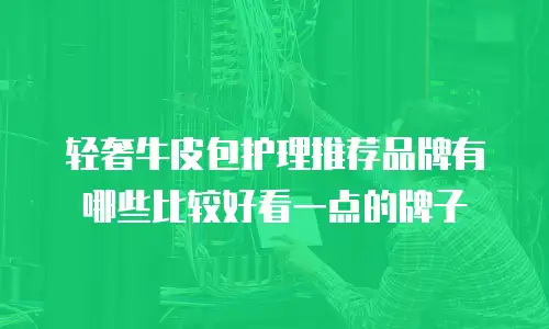 轻奢牛皮包护理推荐品牌有哪些比较好看一点的牌子