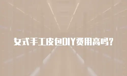 女式手工皮包DIY费用高吗？