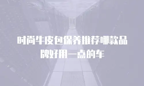 时尚牛皮包保养推荐哪款品牌好用一点的车