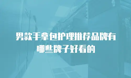 男款手拿包护理推荐品牌有哪些牌子好看的