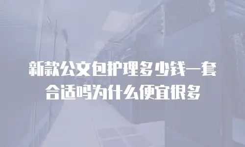 新款公文包护理多少钱一套合适吗为什么便宜很多