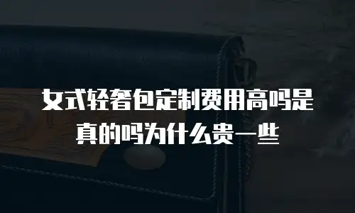 女式轻奢包定制费用高吗是真的吗为什么贵一些