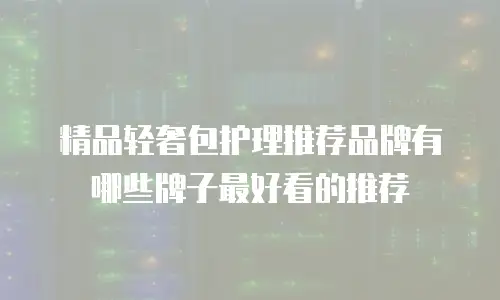 精品轻奢包护理推荐品牌有哪些牌子最好看的推荐