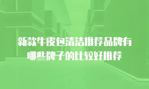 新款牛皮包清洁推荐品牌有哪些牌子的比较好推荐