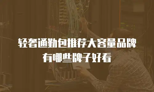 轻奢通勤包推荐大容量品牌有哪些牌子好看