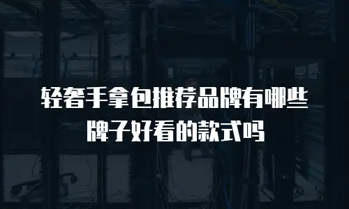 轻奢手拿包推荐品牌有哪些牌子好看的款式吗