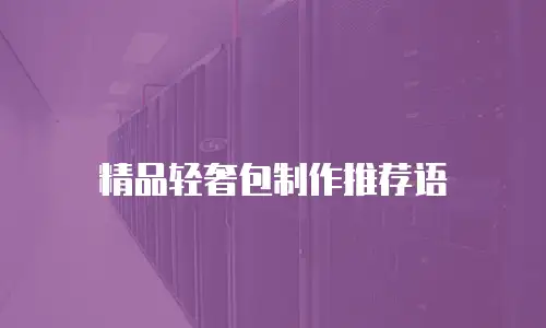 精品轻奢包制作推荐语