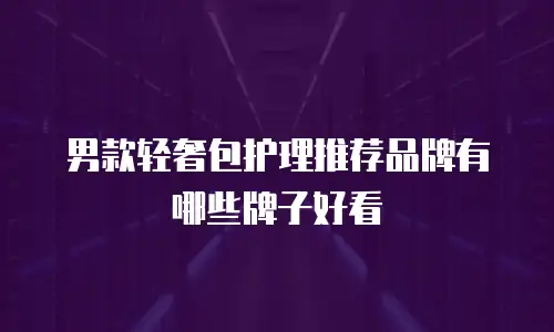 男款轻奢包护理推荐品牌有哪些牌子好看
