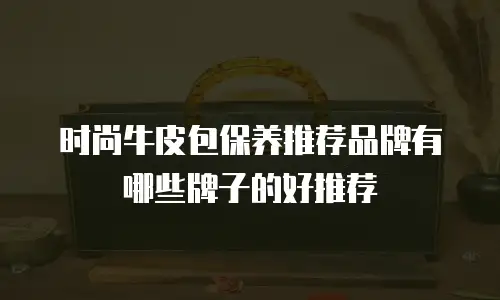时尚牛皮包保养推荐品牌有哪些牌子的好推荐