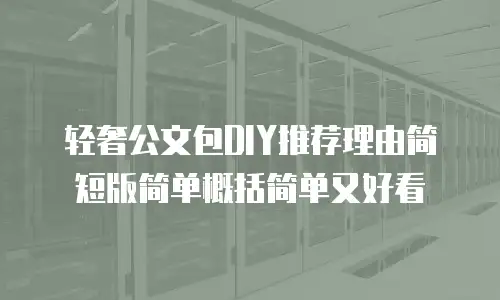 轻奢公文包DIY推荐理由简短版简单概括简单又好看