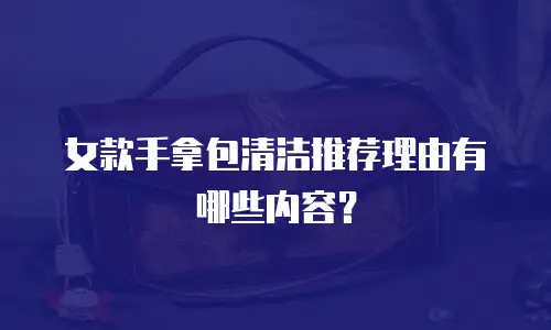 女款手拿包清洁推荐理由有哪些内容？