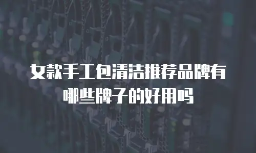 女款手工包清洁推荐品牌有哪些牌子的好用吗
