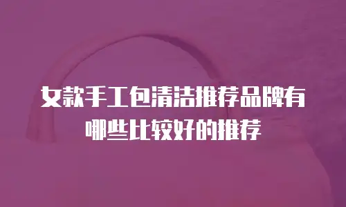 女款手工包清洁推荐品牌有哪些比较好的推荐
