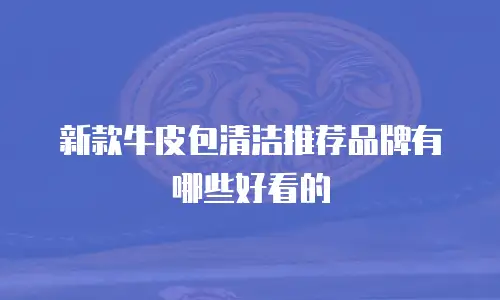 新款牛皮包清洁推荐品牌有哪些好看的