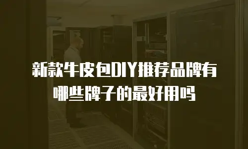 新款牛皮包DIY推荐品牌有哪些牌子的最好用吗