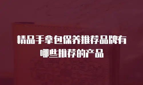 精品手拿包保养推荐品牌有哪些推荐的产品