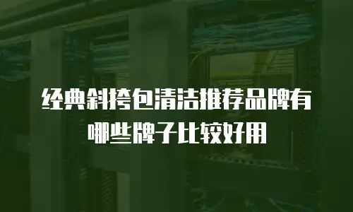 经典斜挎包清洁推荐品牌有哪些牌子比较好用