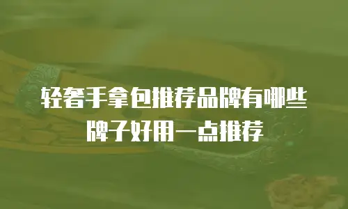轻奢手拿包推荐品牌有哪些牌子好用一点推荐
