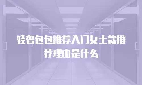 轻奢包包推荐入门女士款推荐理由是什么