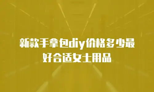 新款手拿包diy价格多少最好合适女士用品