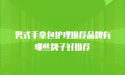 男式手拿包护理推荐品牌有哪些牌子好推荐