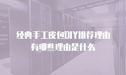 经典手工皮包DIY推荐理由有哪些理由是什么