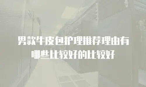男款牛皮包护理推荐理由有哪些比较好的比较好