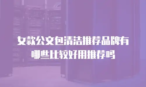 女款公文包清洁推荐品牌有哪些比较好用推荐吗