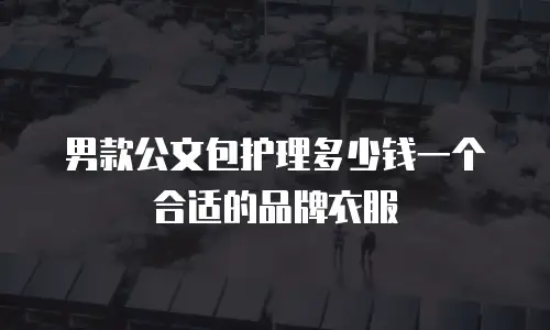 男款公文包护理多少钱一个合适的品牌衣服