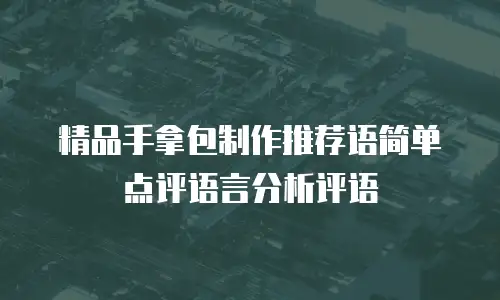 精品手拿包制作推荐语简单点评语言分析评语