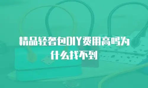 精品轻奢包DIY费用高吗为什么找不到