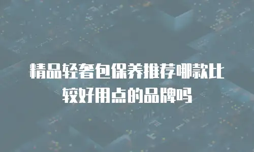 精品轻奢包保养推荐哪款比较好用点的品牌吗
