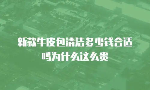 新款牛皮包清洁多少钱合适吗为什么这么贵