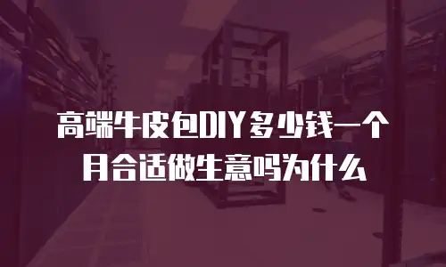 高端牛皮包DIY多少钱一个月合适做生意吗为什么