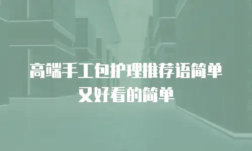 高端手工包护理推荐语简单又好看的简单