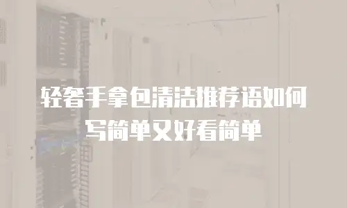 轻奢手拿包清洁推荐语如何写简单又好看简单