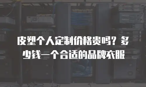 皮塑个人定制价格贵吗？多少钱一个合适的品牌衣服