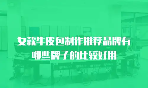 女款牛皮包制作推荐品牌有哪些牌子的比较好用